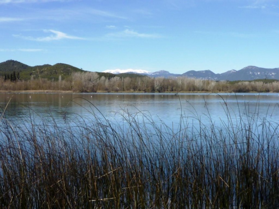 Passejant pels voltants de l'Estany