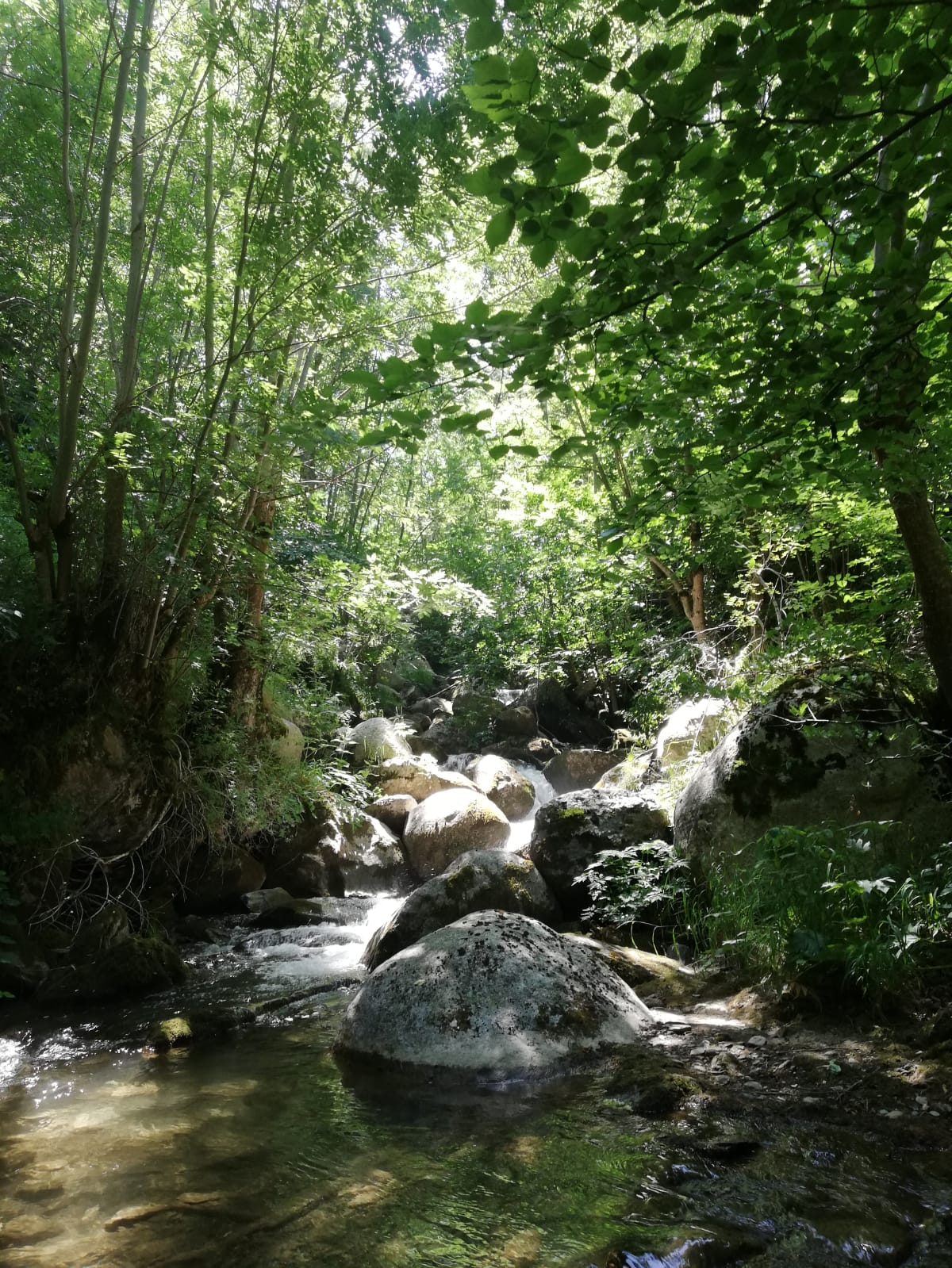 El Camí de Vidabona
