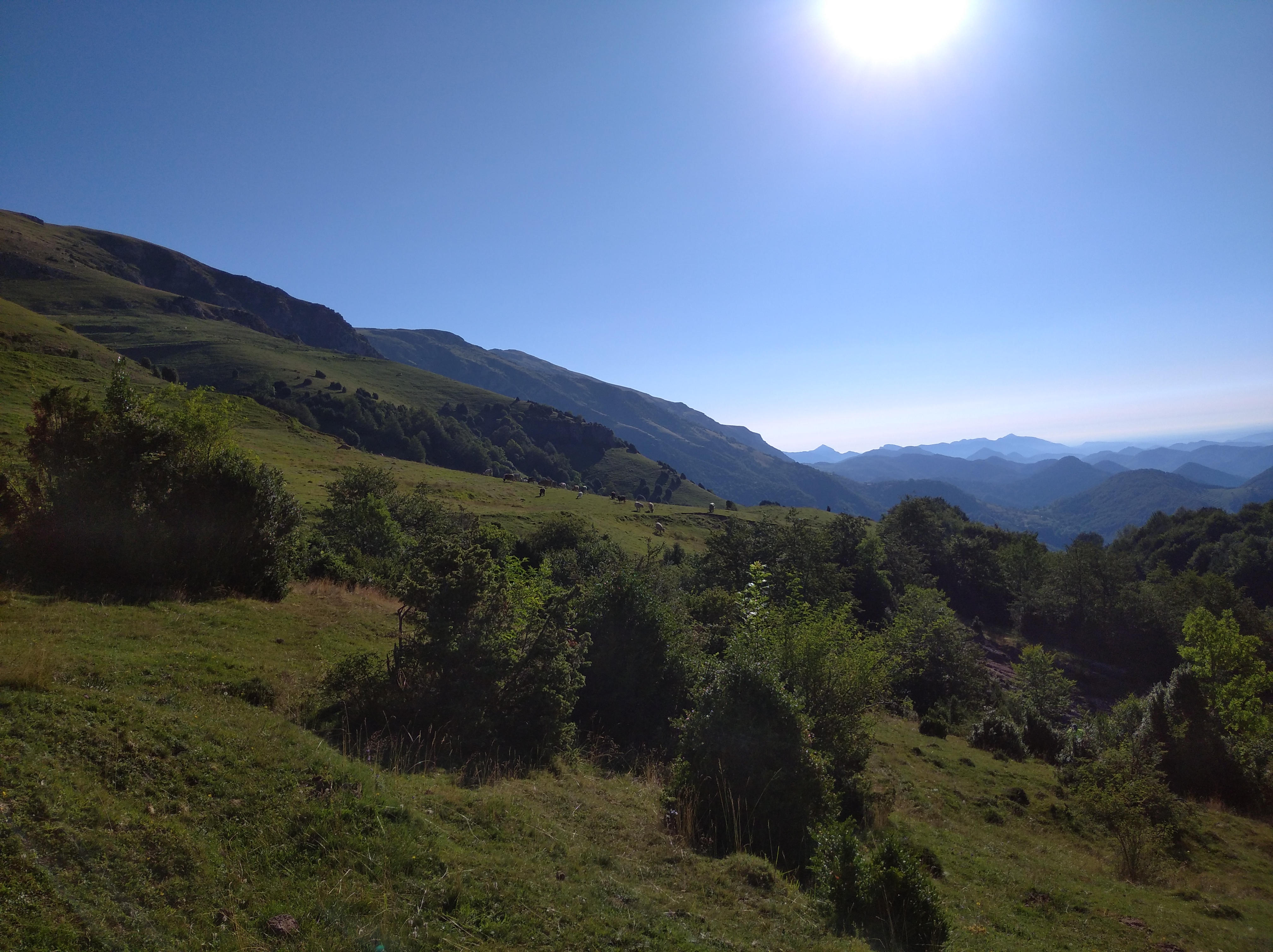 El Camí de Vidabona