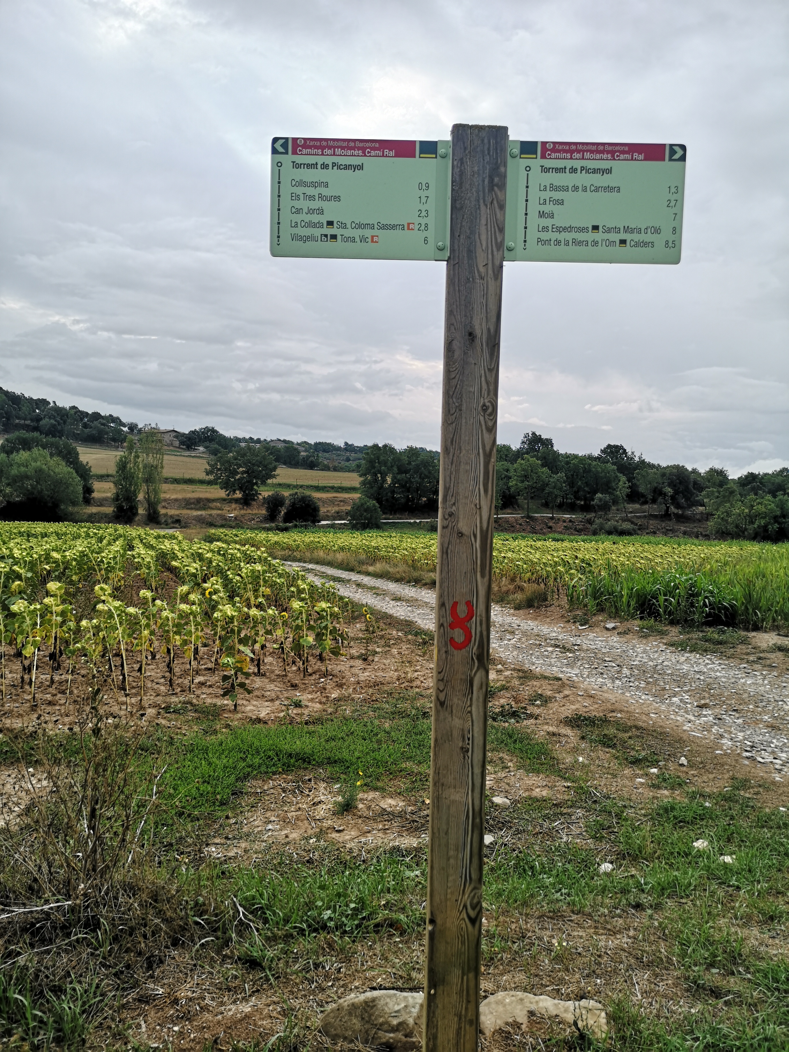 Estiueig prehistòric al Moianès