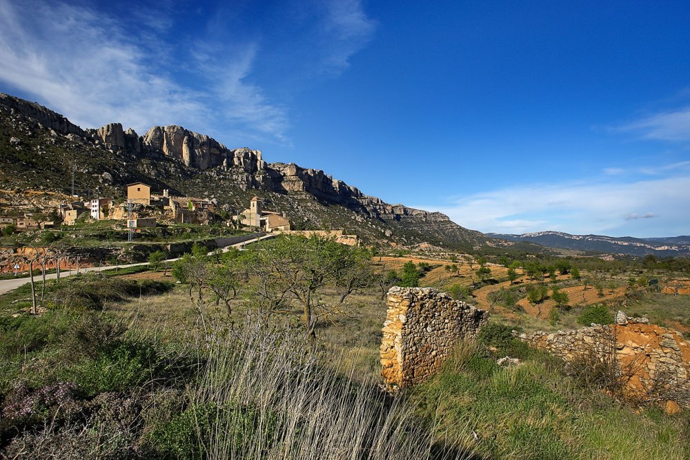 Entre les vinyes del Montsant