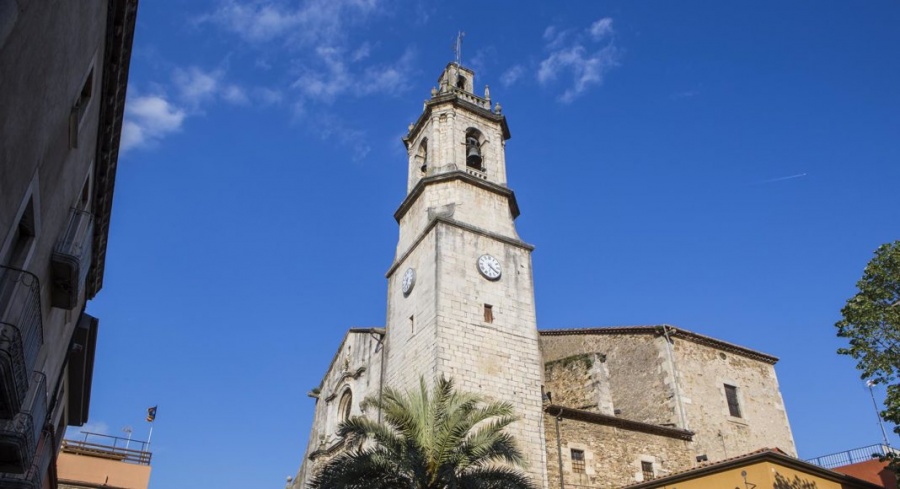 De les Gavarres a la plana: terres de senglars i de castells. 