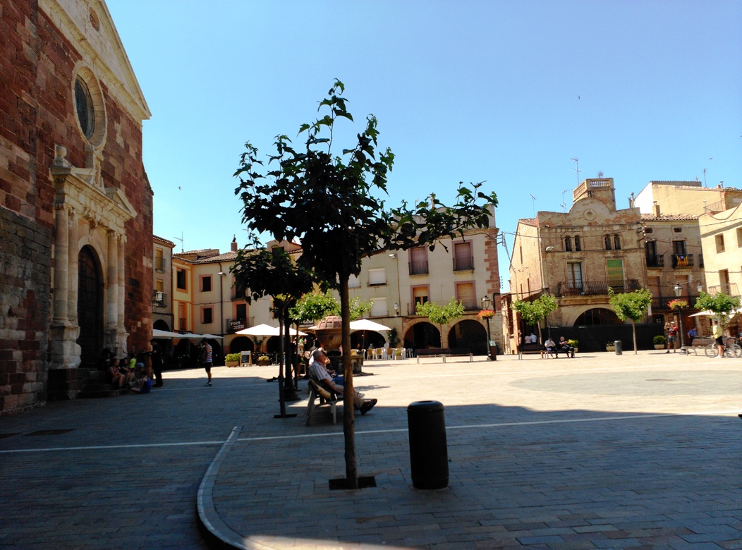 El sostre del Baix camp