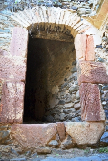 Entre les vinyes del Montsant