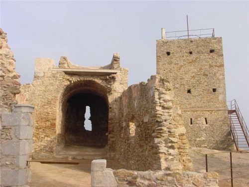 De les Gavarres a la plana: terres de senglars i de castells. 