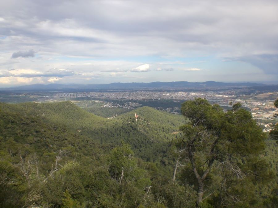 La Serra de Collcardús