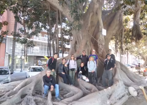  El Grup de Caminants al ficus monumental