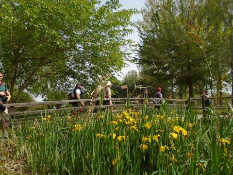 

<!-- THEME DEBUG -->
<!-- THEME HOOK: 'field' -->
<!-- FILE NAME SUGGESTIONS:
   ▪️ field--node--title--novetat.html.twig
   ✅ field--node--title.html.twig
   ▪️ field--node--novetat.html.twig
   ▪️ field--title.html.twig
   ▪️ field--string.html.twig
   ▪️ field.html.twig
-->
<!-- 💡 BEGIN CUSTOM TEMPLATE OUTPUT from 'themes/custom/cami_theme/templates/field/field--node--title.html.twig' -->
<span class=