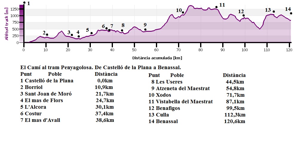 Gràfica de desnivell del tram