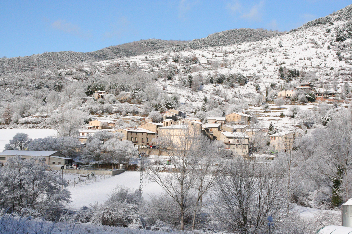 estrela bet cassino