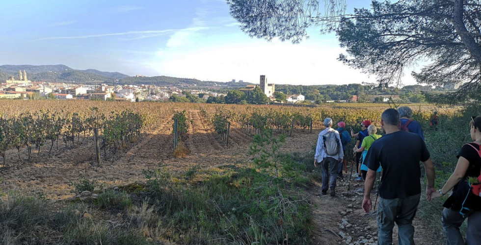 Caminant cap a Sant Pere de Ribes