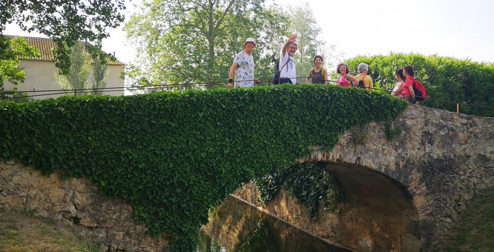 Pont del molí de l'Armentera