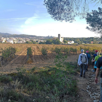 Caminant cap a Sant Pere de Ribes