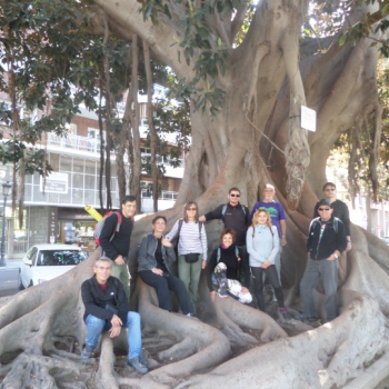  El Grup de Caminants al ficus monumental