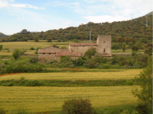 Mas envoltat d'Ordi